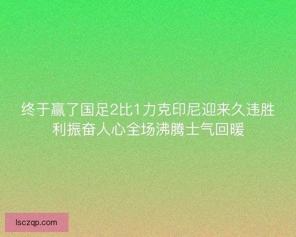 终于赢了国足2比1力克印尼迎来久违胜利振奋人心全场沸腾士气回暖